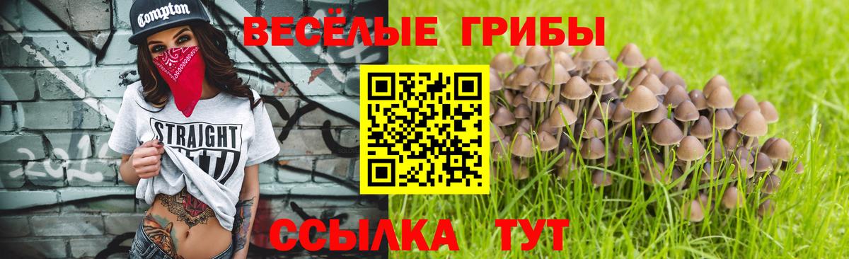 Псилоцибиновые грибы мицелий Алатырь